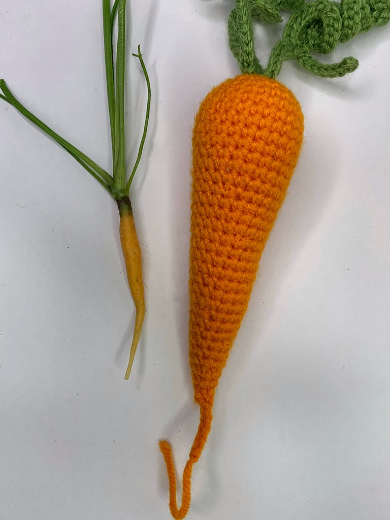 Humorous comparison of a tiny freshly grown carrot to a crochet carrot